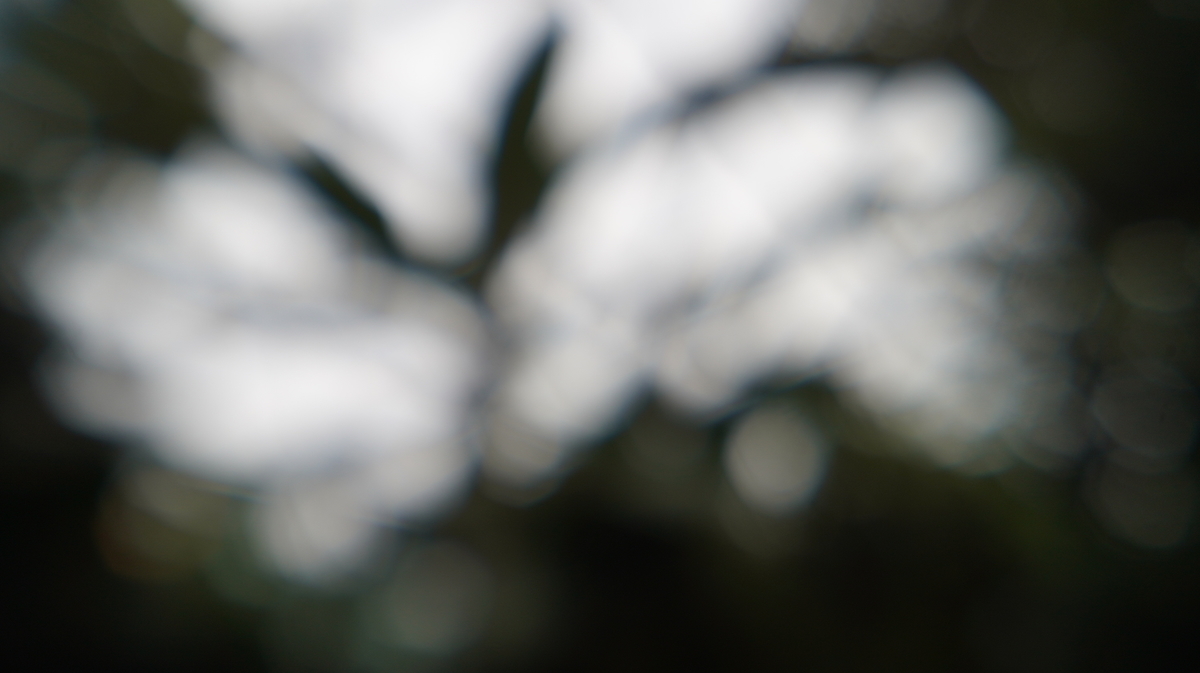 f:id:nabe1945:20210619181705j:plain