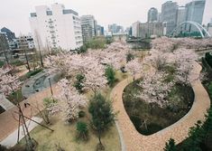 f:id:nabe5266:20200502200539j:plain