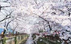 f:id:nabe5266:20200502201050j:plain