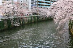 f:id:nabe5266:20200502201147j:plain