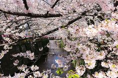 f:id:nabe5266:20200502201246j:plain