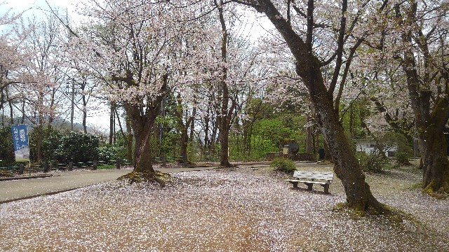 f:id:nabe6120:20240416120713j:image