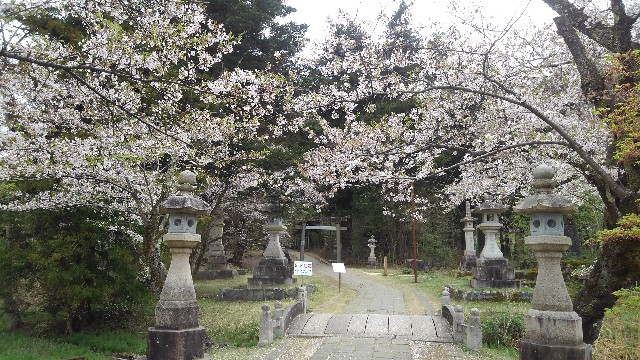 f:id:nabe6120:20240416120828j:image