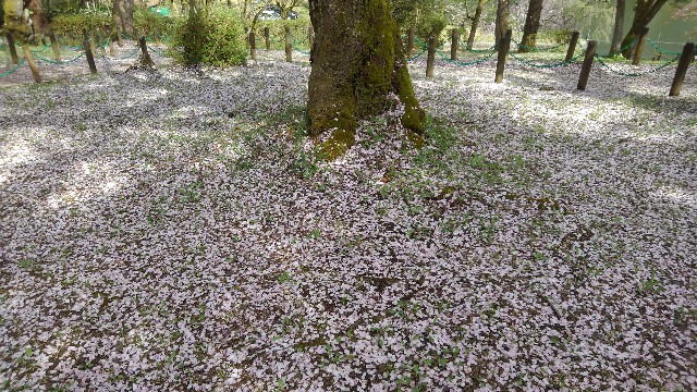 f:id:nabe6120:20240417162102j:image