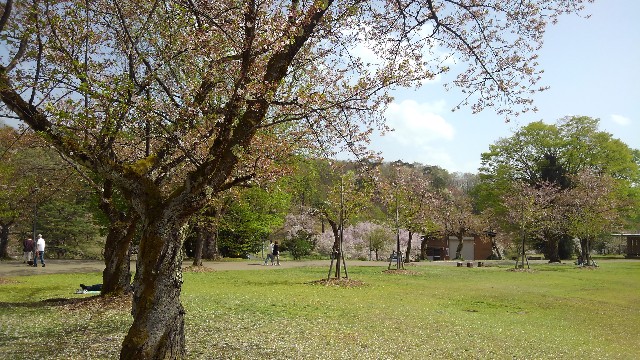 f:id:nabe6120:20240417162211j:image