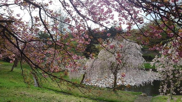 f:id:nabe6120:20250425184227j:image