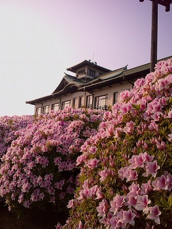 f:id:nabehisa:20080503205629j:image