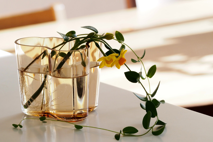 f:id:nabeko00:20180907162324j:plain f:id:nabeko00:20180907162324j:plain