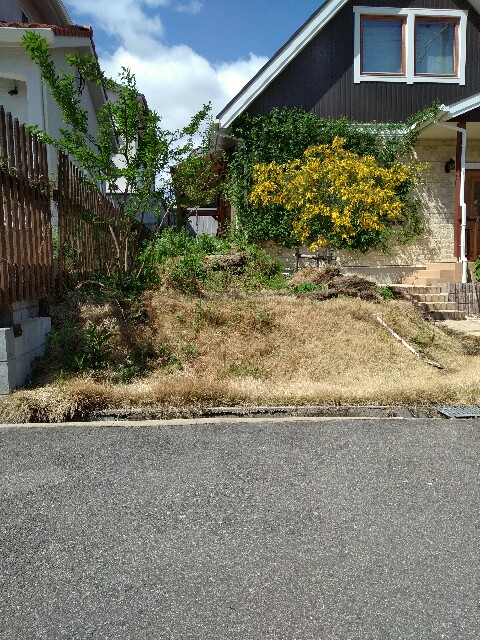 f:id:nabeo1123:20190427200518j:image