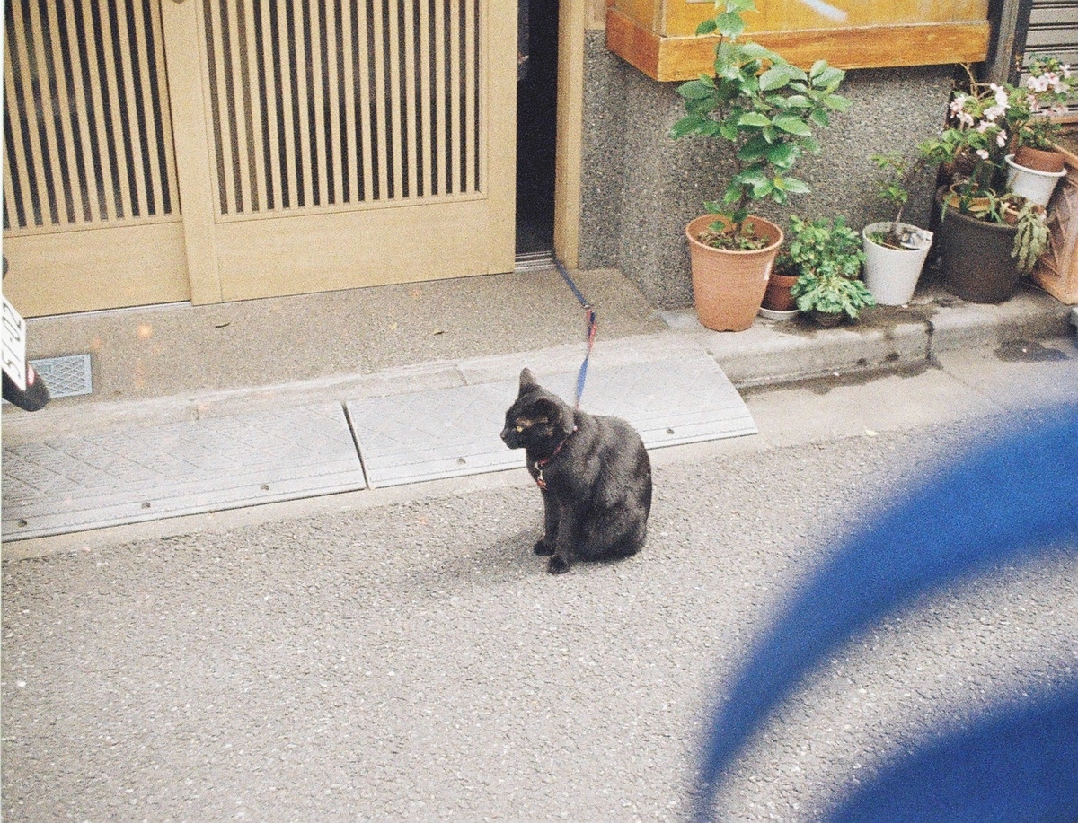 【ハローキティカメラ フラッシュAW】【フィルム写真】谷根千付近