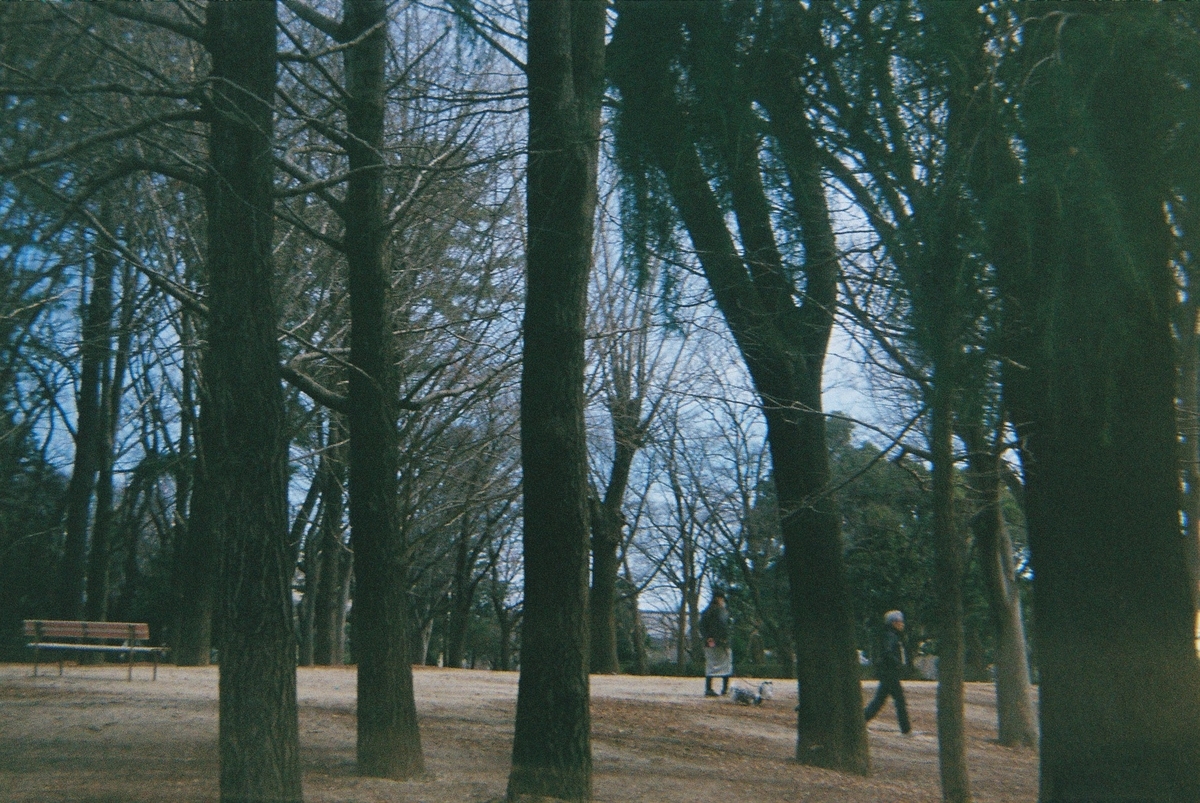 【Howay Anny 35】【フィルム写真】与野公園