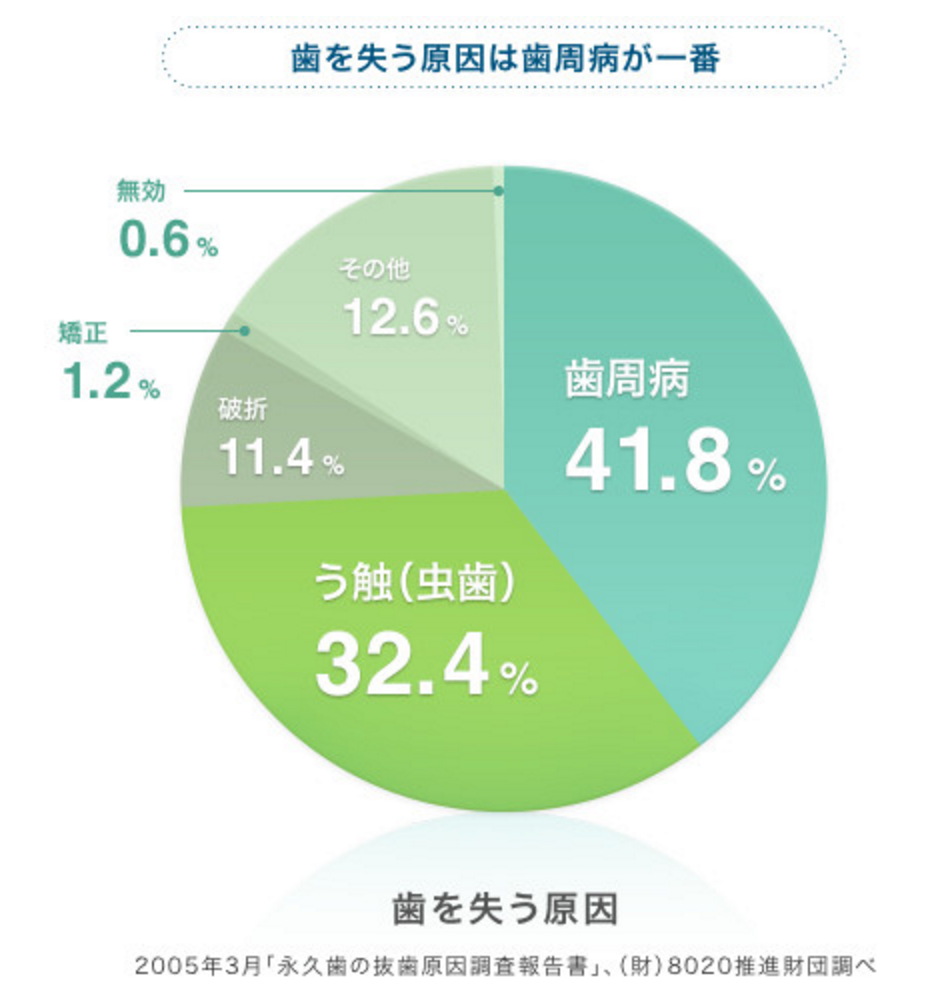 歯を失う原因は歯周病が1番