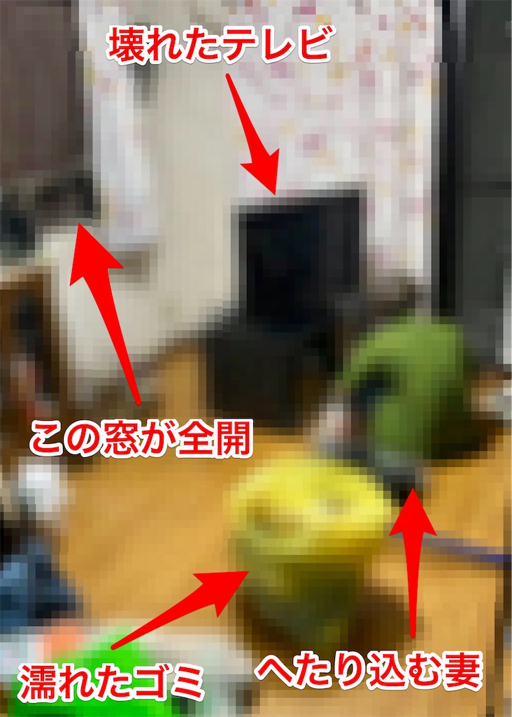 f:id:nabewox:20260810143443j:image f:id:nabewox:20260810143443j:image