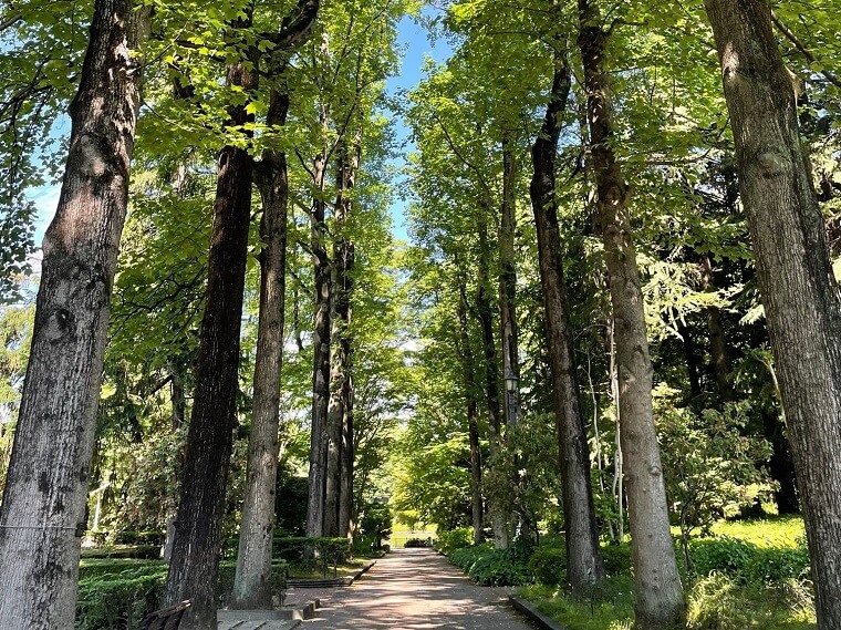 f:id:nabeyasukun:20210626002533j:plain