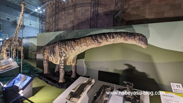 フクイティタン（巨大恐竜展2024）