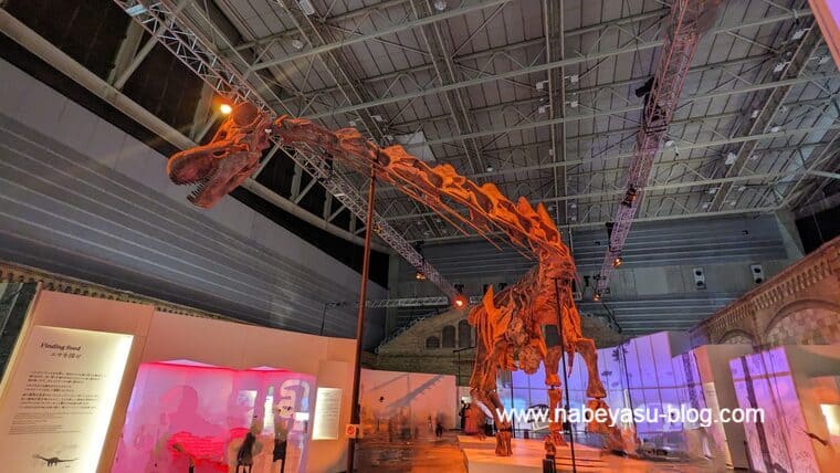 パタゴティタン（巨大恐竜展2024）