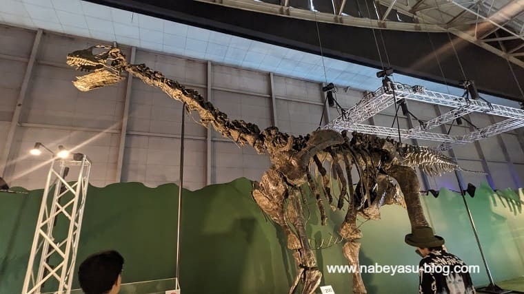 カマラサウルス（巨大恐竜展2024）
