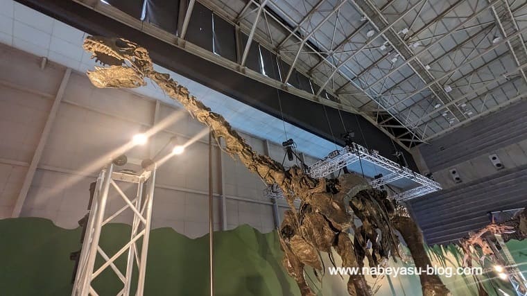カマラサウルス（巨大恐竜展2024）