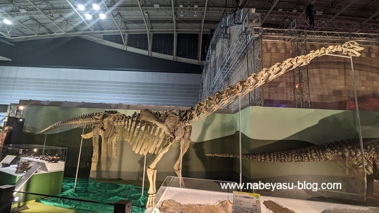 エウヘロプス復元骨格標本（巨大恐竜展2024）
