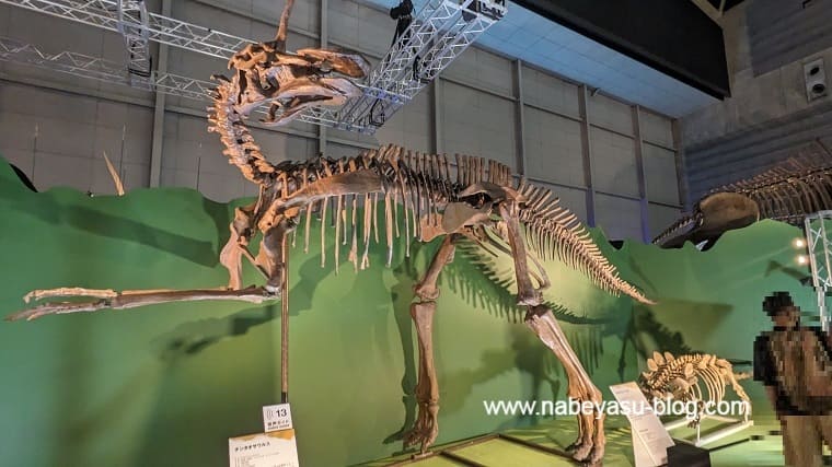 チンタオサウルス復元骨格標本（巨大恐竜展2024）