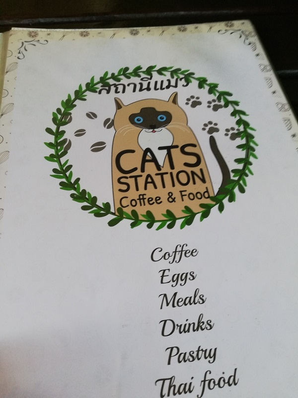 f:id:nabikotan:20210124220342j:plain