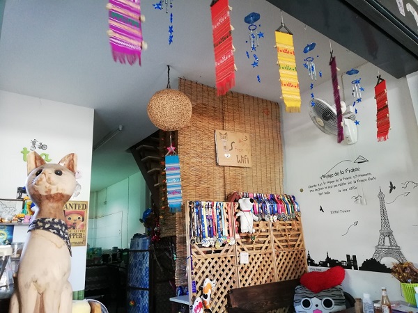 f:id:nabikotan:20210124220646j:plain