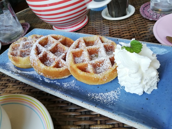 f:id:nabikotan:20210129104027j:plain