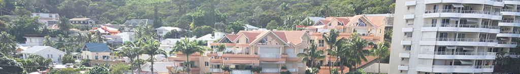 ニューカレドニアの治安 ニューカレドニアの治安