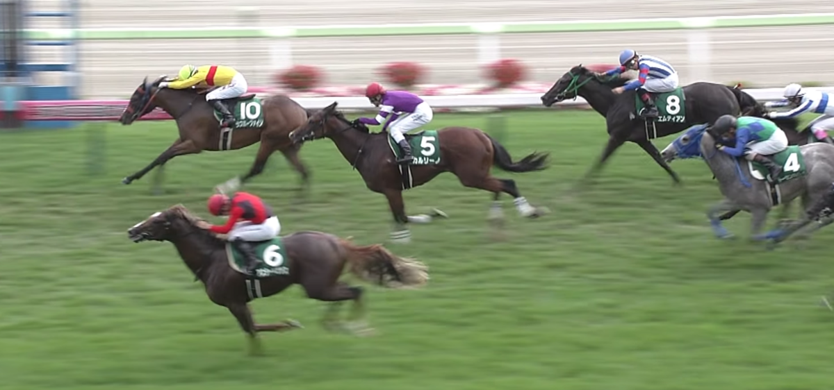 函館2歳 函館2歳