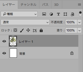 f:id:nabuko:20180628162406p:plain f:id:nabuko:20180628162406p:plain
