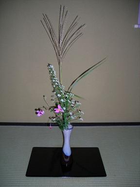 イメージ 4