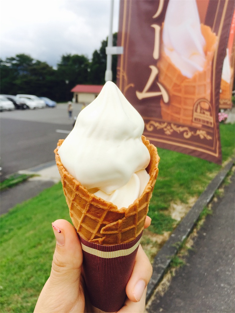 f:id:nacco-s2:20170814133426j:image