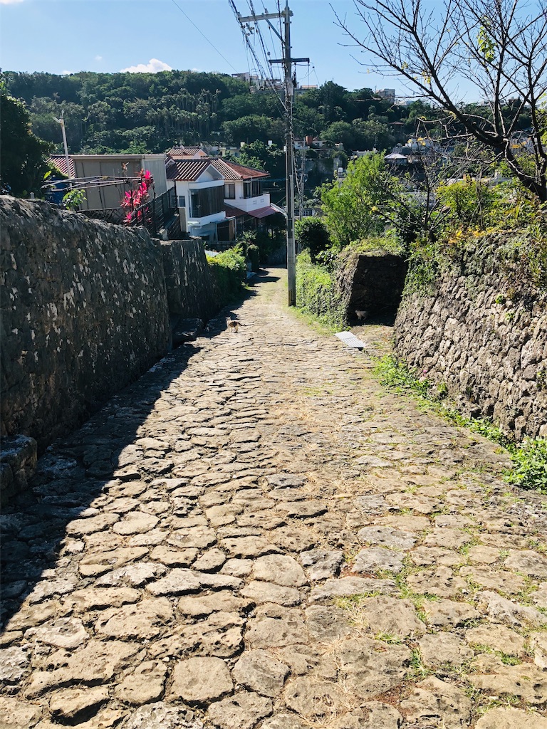 f:id:nacco-s2:20181221090229j:image