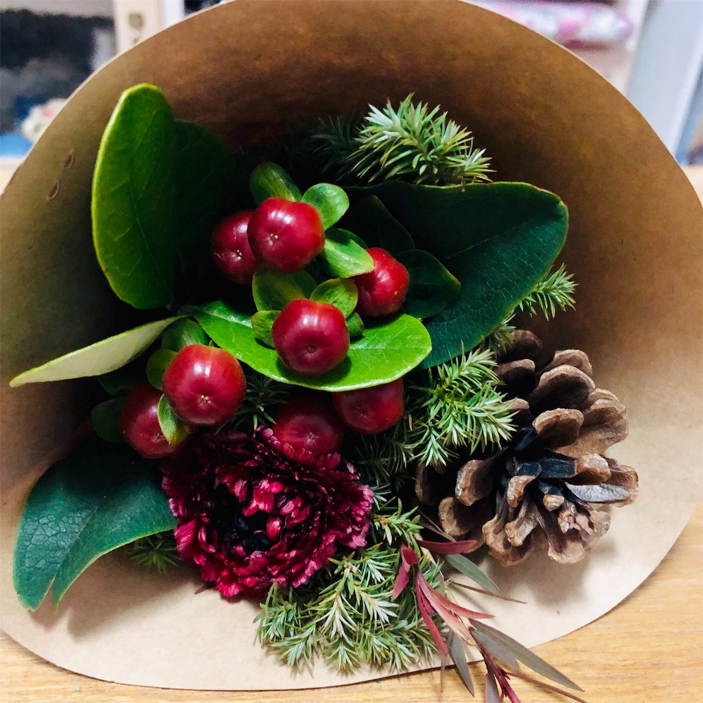 f:id:nacco-s2:20181223083427j:image