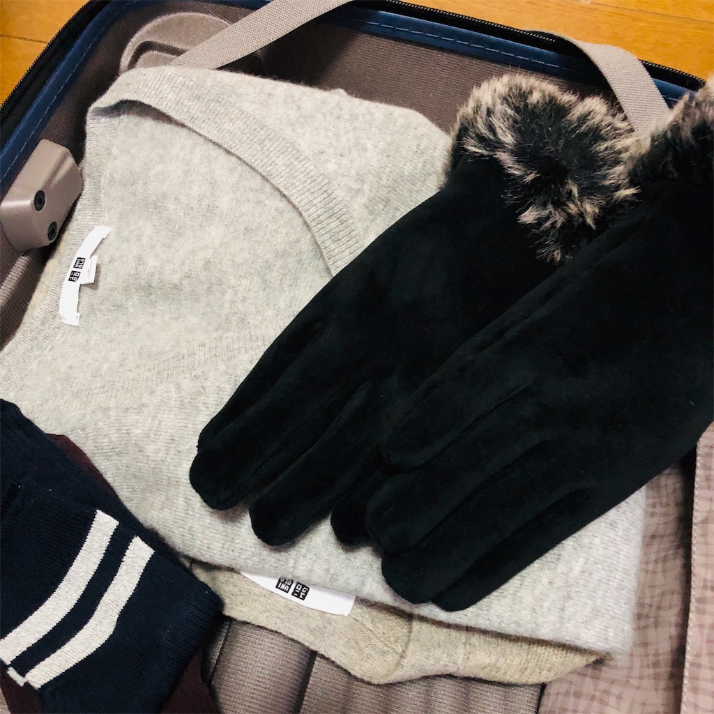 f:id:nacco-s2:20181230182820j:image