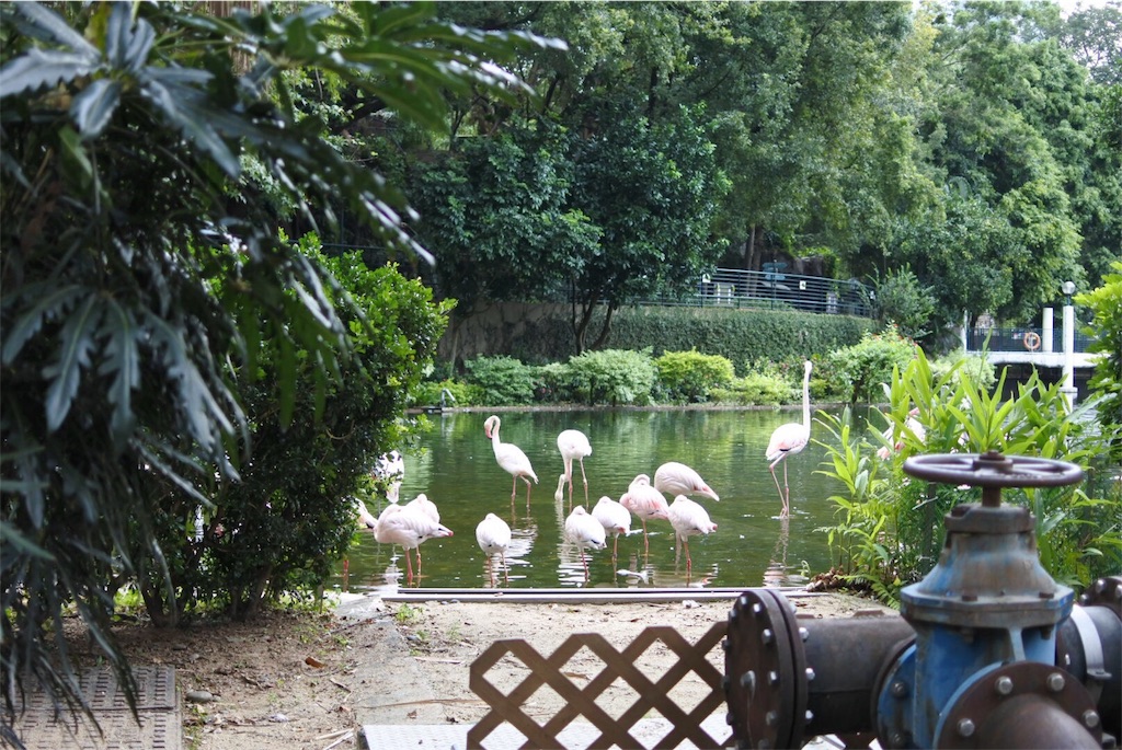 f:id:naccotours:20180924074927j:image f:id:naccotours:20180924074927j:image
