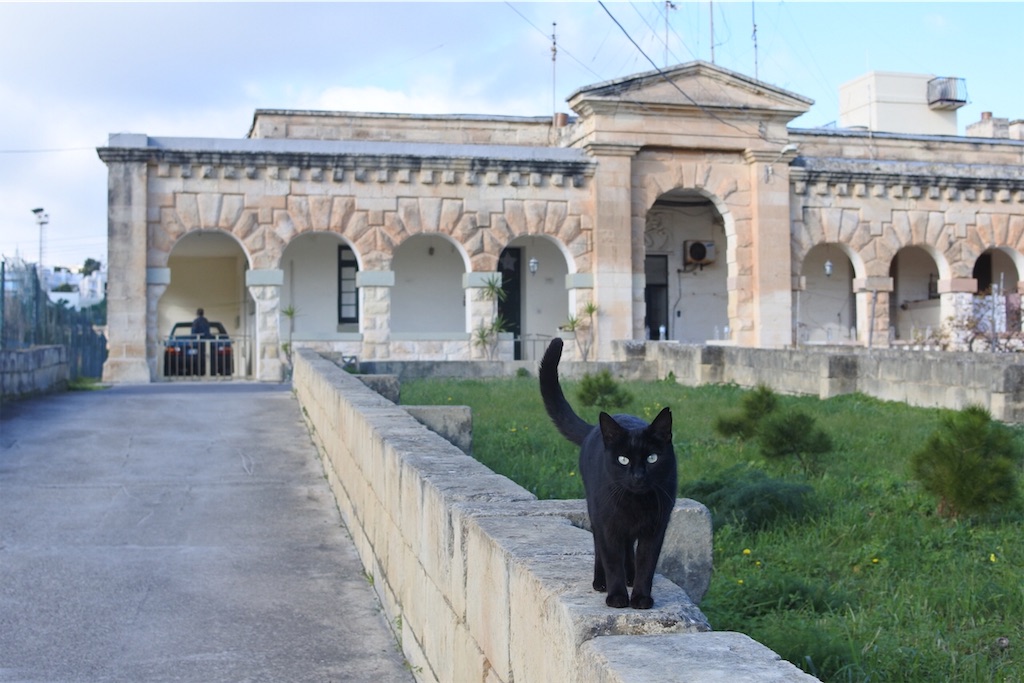 f:id:naccotours:20181226002831j:image f:id:naccotours:20181226002831j:image