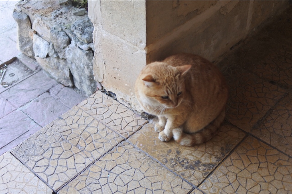 f:id:naccotours:20181226005430j:image f:id:naccotours:20181226005430j:image