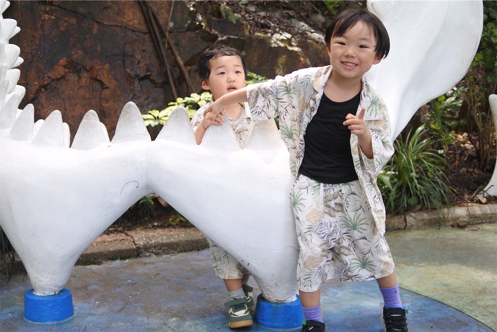 f:id:naccotours:20240619143623j:image f:id:naccotours:20240619143623j:image