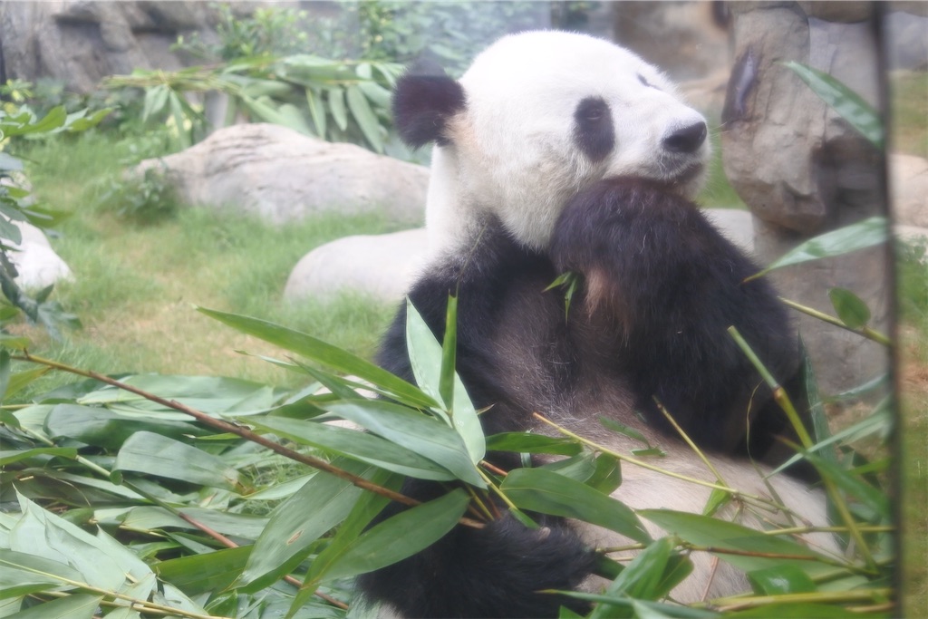 f:id:naccotours:20240619144602j:image f:id:naccotours:20240619144602j:image