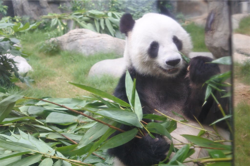 f:id:naccotours:20240619144606j:image f:id:naccotours:20240619144606j:image