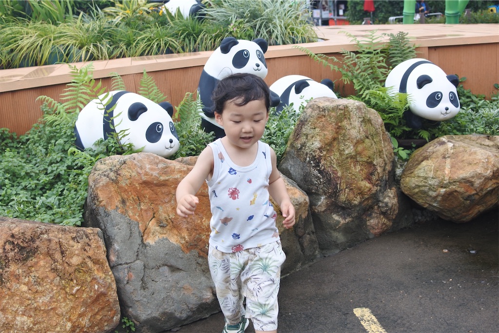 f:id:naccotours:20240619144610j:image f:id:naccotours:20240619144610j:image