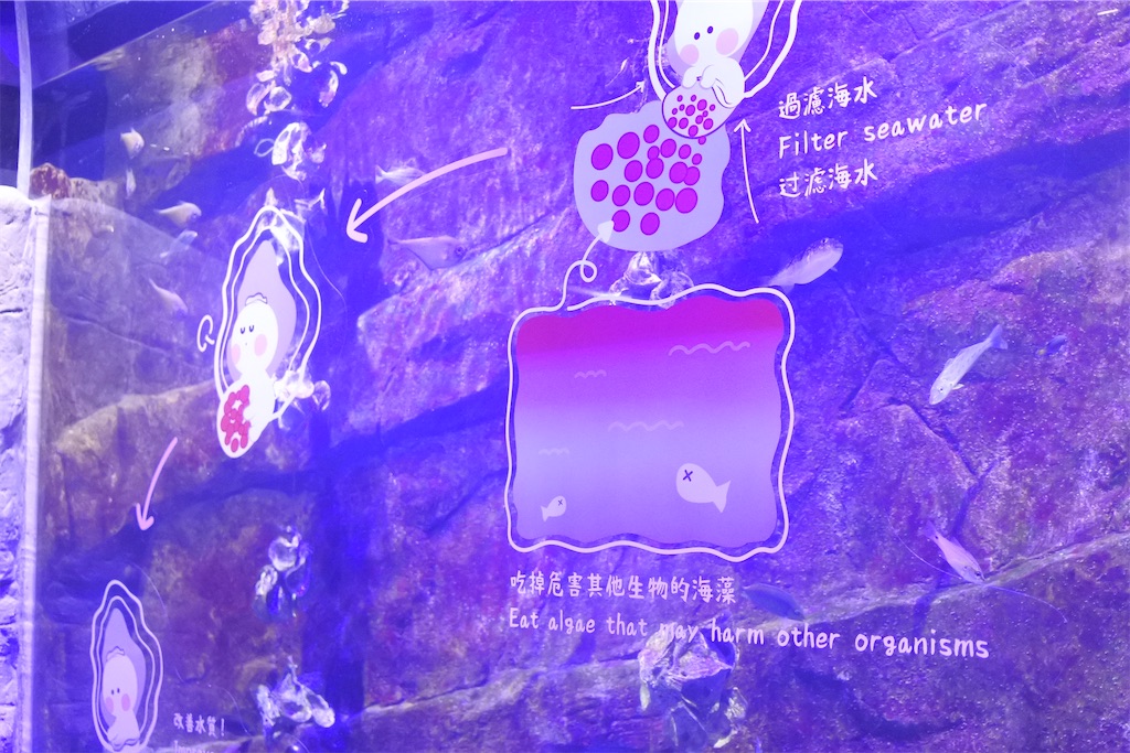 f:id:naccotours:20240619145302j:image f:id:naccotours:20240619145302j:image