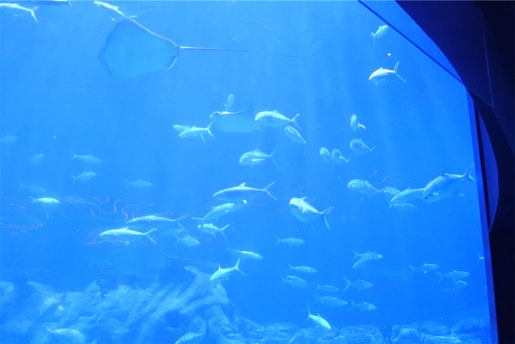 f:id:naccotours:20240619145305j:image f:id:naccotours:20240619145305j:image