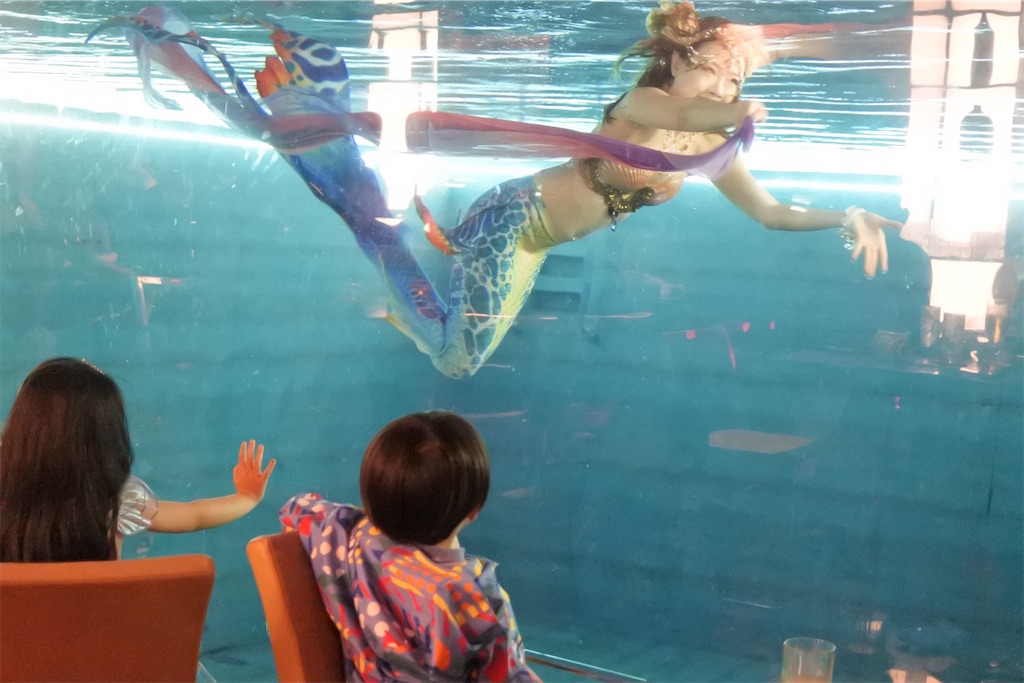 f:id:naccotours:20250321024246j:image
