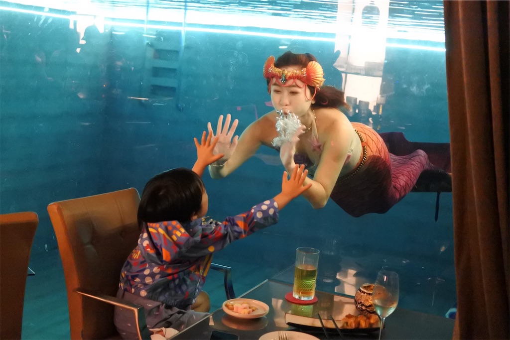 f:id:naccotours:20250321024306j:image