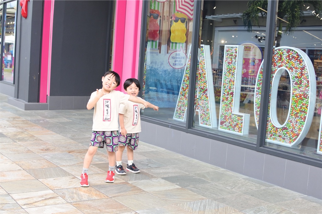 f:id:naccotours:20260101174550j:image