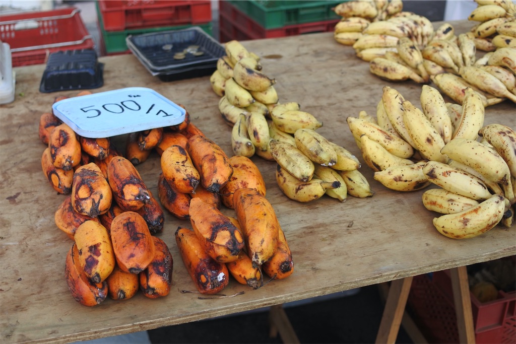 f:id:naccotours:20260330160103j:image