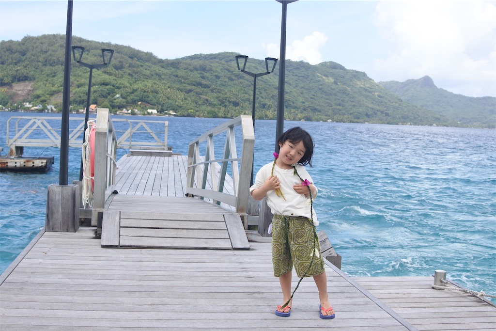 f:id:naccotours:20260330161407j:image