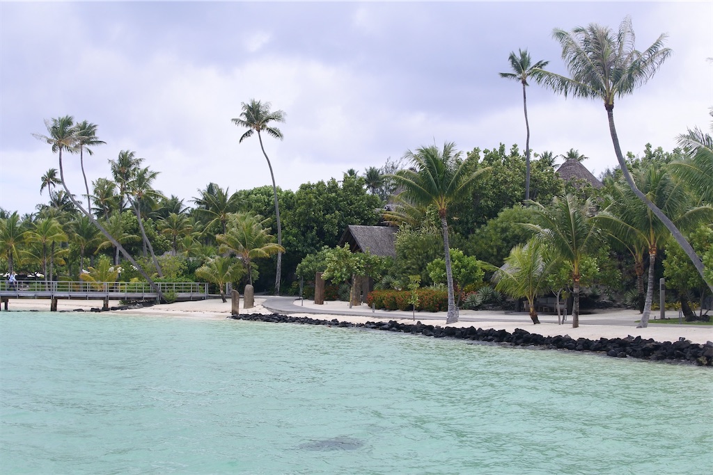 f:id:naccotours:20260330161605j:image